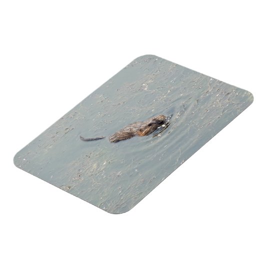 Baby Muskrat Flexibele fotomagneet Magneet (Linkerzijde)