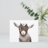 baby nanny Goat Briefkaart (Staand voorkant)