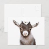 baby nanny Goat Briefkaart (Voorkant / Achterkant)