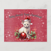 Baby Niece's First Christmas Holiday Postcard Feestdagenkaart (Voorkant)