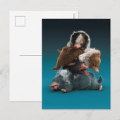 Baby NIFFLER™-pool Briefkaart (Voorkant / Achterkant)