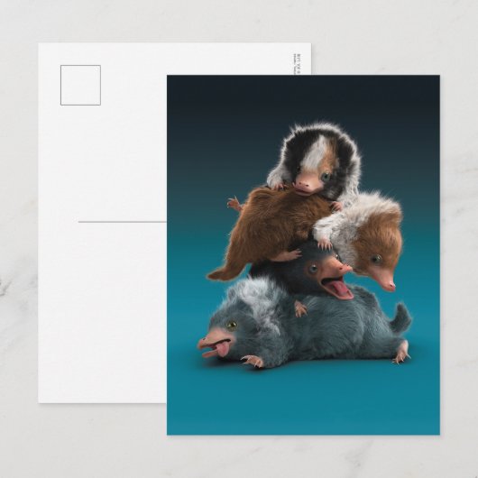 Baby NIFFLER™-pool Briefkaart (Voorkant / Achterkant)