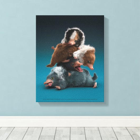 Baby NIFFLER™-pool Canvas Afdruk (Insitu (Houten vloer))