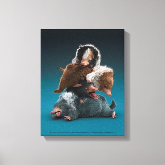 Baby NIFFLER™-pool Canvas Afdruk (Voorkant)