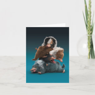 Baby NIFFLER™-pool Kaart