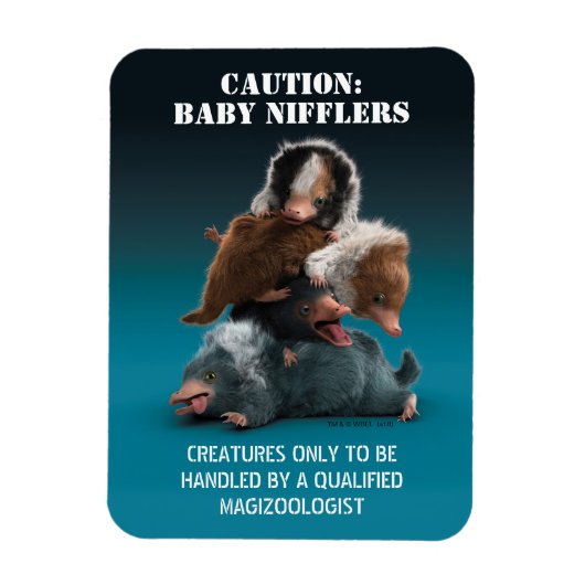 Baby NIFFLER™-pool Magneet (Verticaal)