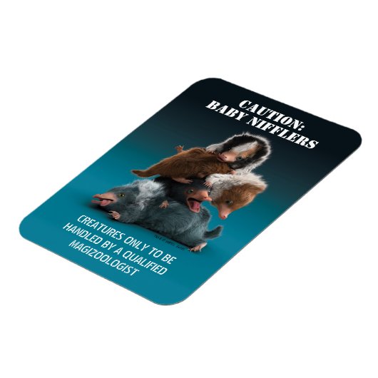 Baby NIFFLER™-pool Magneet (Linkerzijde)