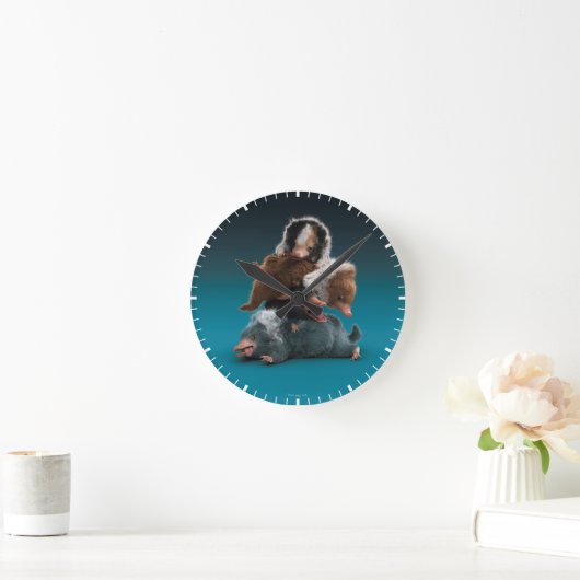 Baby NIFFLER™-pool Ronde Klok (Huis)