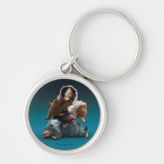 Baby NIFFLER™ stapel Sleutelhanger (Voorkant)