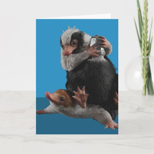 Baby Nifflers Find A Prize Kaart (Voorkant)