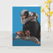 Baby Nifflers Find A Prize Kaart (Gele Bloem)