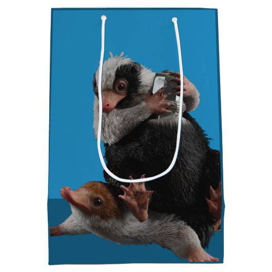 Baby Nifflers Find A Prize Medium Cadeauzakje (Achterkant)