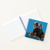 Baby Nifflers Find A Prize Notitieboek (Binnen)