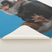 Baby Nifflers Find A Prize Sherpa Deken (3/4)