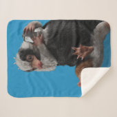 Baby Nifflers Find A Prize Sherpa Deken (Voorkant (horizontaal))