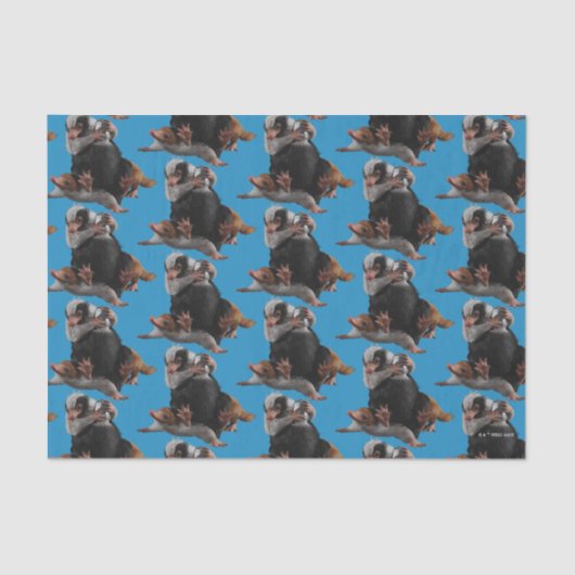 Baby Nifflers Find A Prize Tissuepapier (Voorkant)