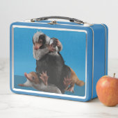 Baby Nifflers zoeken prijs (In situ)