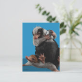 Baby Nifflers zoeken prijs Briefkaart (Staand voorkant)