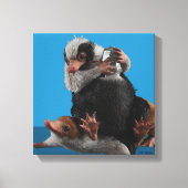 Baby Nifflers zoeken prijs Canvas Afdruk (Voorkant)