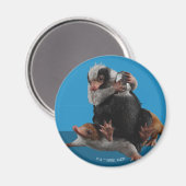 Baby Nifflers zoeken prijs Magneet (Voorkant / Achterkant)