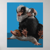 Baby Nifflers zoeken prijs Poster (Voorkant)