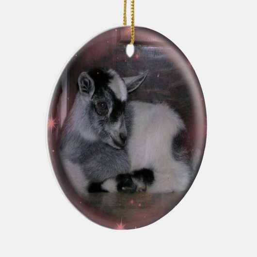 BABY NIGERIAN DWARF GOAT ORNAMENT (Rechts)
