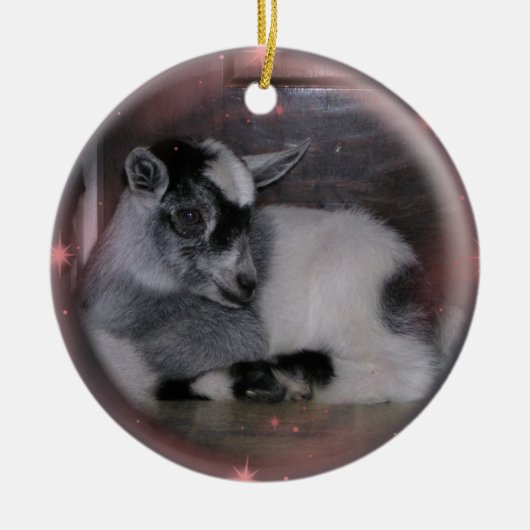 BABY NIGERIAN DWARF GOAT ORNAMENT (Voorkant)