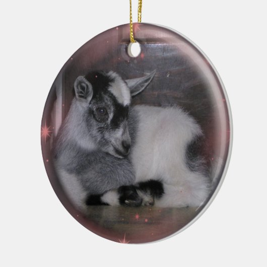 BABY NIGERIAN DWARF GOAT ORNAMENT (Links)