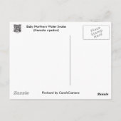 Baby Noord-waterslang (Nerodia sipedon) Briefkaart (Achterkant)