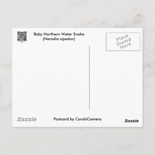 Baby Noord-waterslang (Nerodia sipedon) Briefkaart (Achterkant)