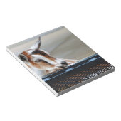 Baby Notitieblok (Schuin)