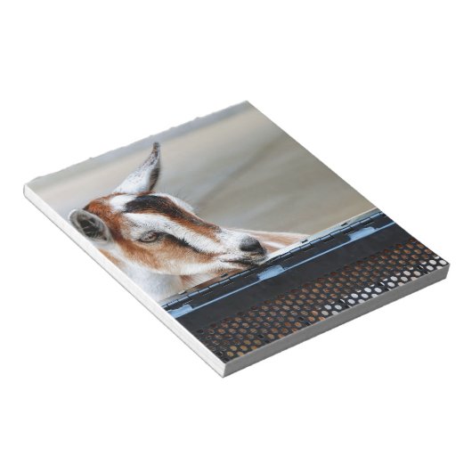 Baby Notitieblok (Schuin)