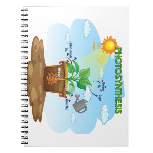 Baby-notitieboek Notitieboek (Voorkant)