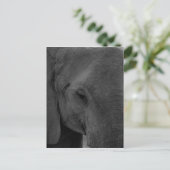 Baby olifant briefkaart (Staand voorkant)