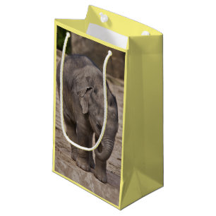 Baby Olifant Cadeautas