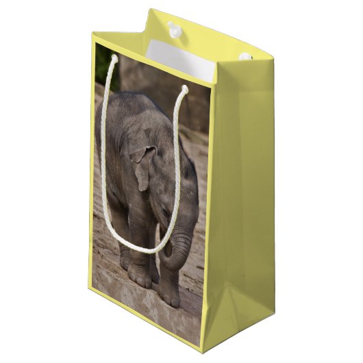 Baby Olifant Cadeautas (Voorkant Gekanteld)