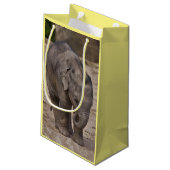 Baby Olifant Cadeautas (Achterkant Gekanteld)