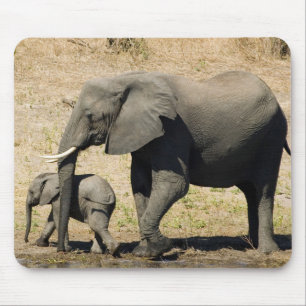 Baby-olifant en moeder muismat