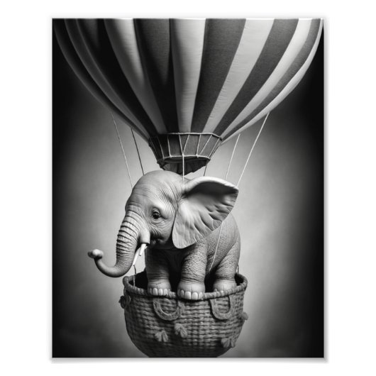 Baby olifant in een luchtballon foto afdruk (Voorkant)