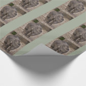 Baby Olifant Inpakpapier (Hoek)