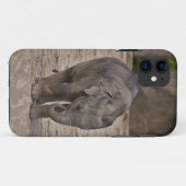 Baby Olifant iPhone 5 Case-Mate Case (Achterkant (horizontaal))
