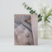 Baby Olifant Knuffelt Briefkaart (Staand voorkant)