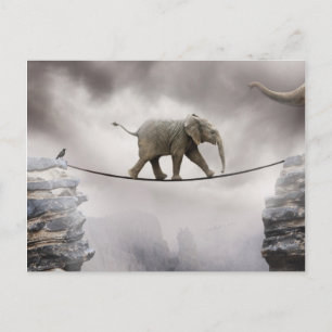 Baby olifant loopt de Tightrope Briefkaart