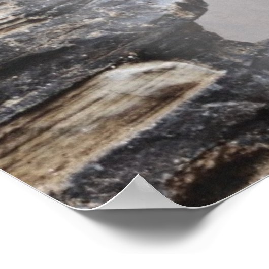 Baby olifant loopt de Tightrope Poster (Hoek)