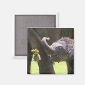 Baby olifant magneet (Voorkant / Achterkant)