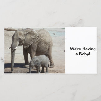 Baby olifant met mama aankondiging