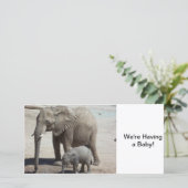 Baby olifant met mama aankondiging (Staand voorkant)