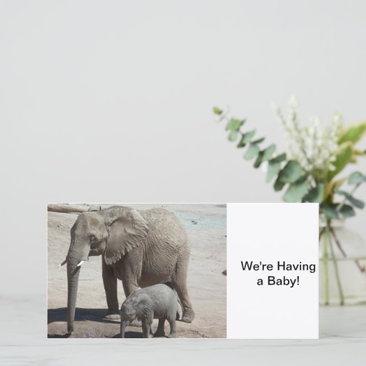 Baby olifant met mama aankondiging (Staand voorkant)