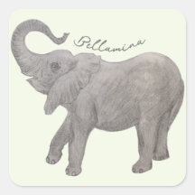 Baby olifant met tekst