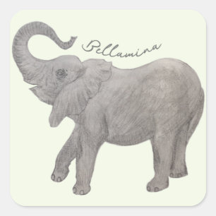 Baby Olifant Met Tekst Vierkante Sticker
